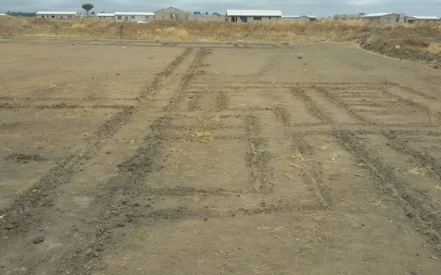 Laying out the foundation